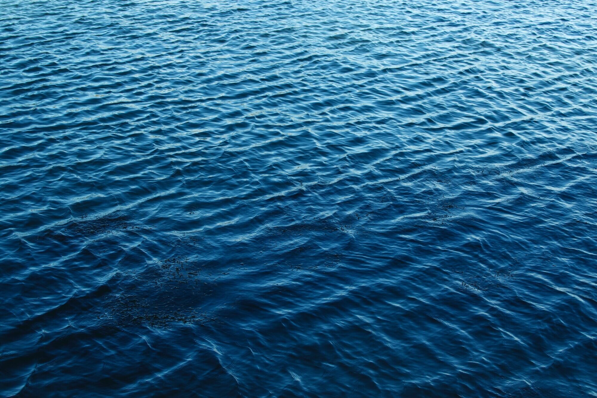 waves on water